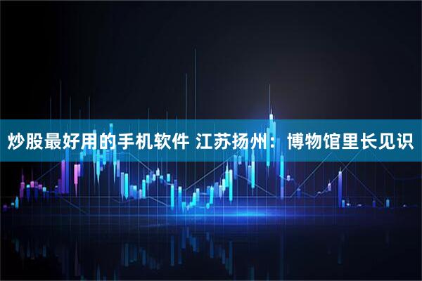 炒股最好用的手机软件 江苏扬州：博物馆里长见识